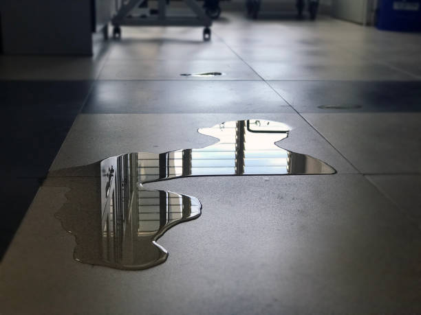 Best Professional water damage repair  in College Station, TX