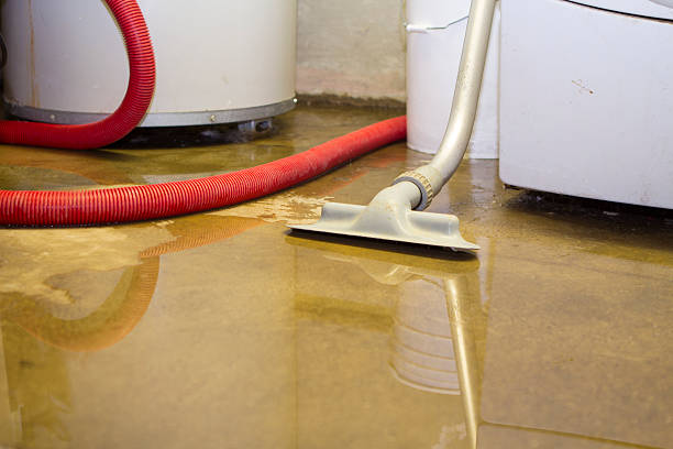 Best Fire Damage Restoration  in College Station, TX